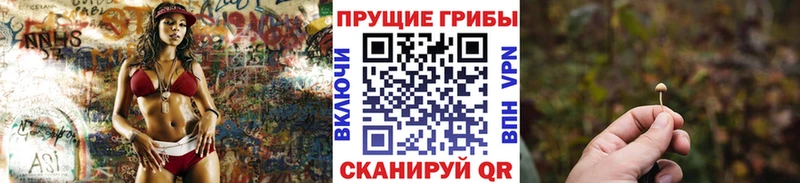 Галлюциногенные грибы Psilocybe  ОМГ ОМГ вход  Лагань 